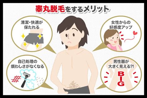 きんたまに毛|睾丸（金玉）に生えている毛は処理した方がいい？ 自己処理の。